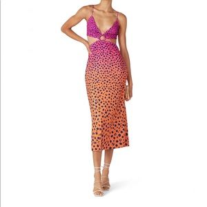 NWT Rogue Leopard Ombre Cutout Maxi Dress